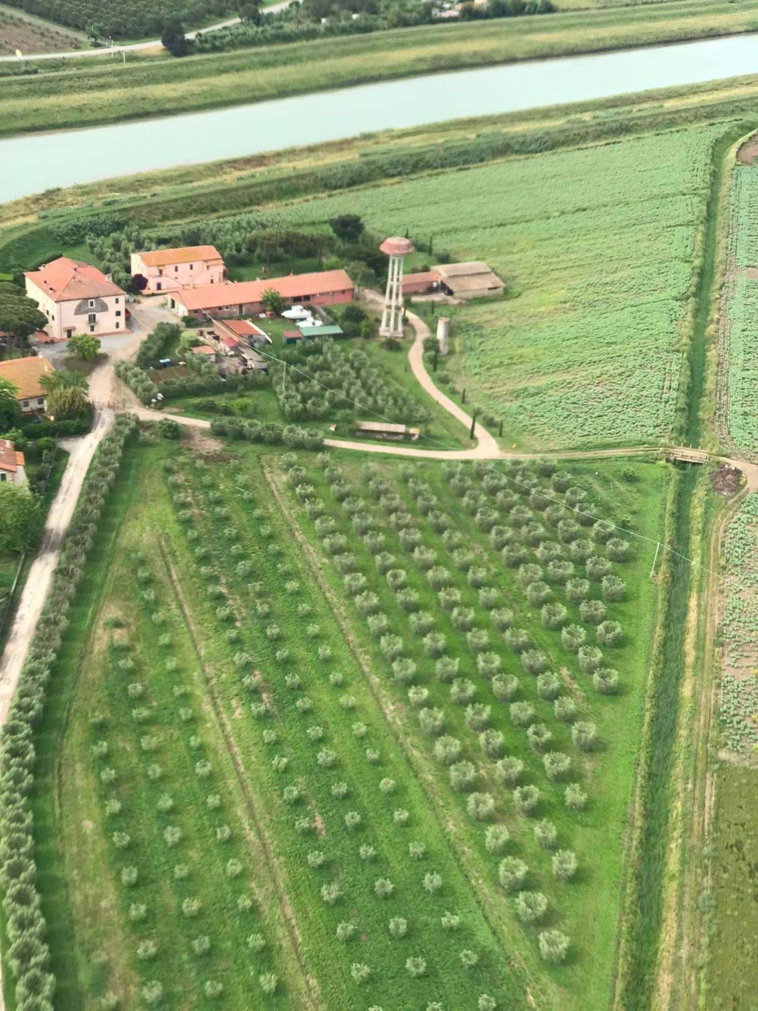 Casale La Barca Villa Albinia Eksteriør bilde